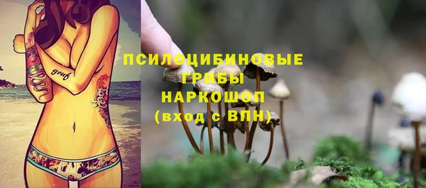 дмт Белокуриха