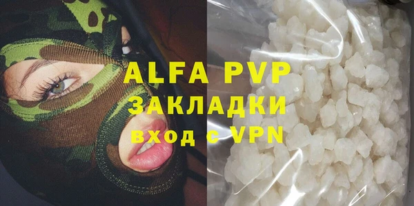 дмт Белокуриха
